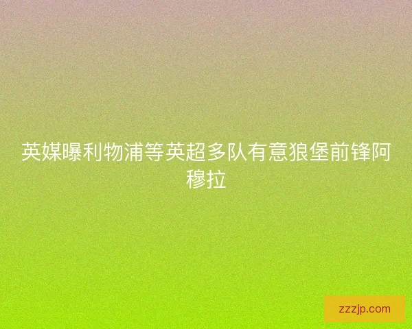 英媒曝利物浦等英超多队有意狼堡前锋阿穆拉